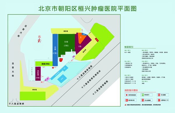 把鸡插进去女生的穴里黄网站北京市朝阳区桓兴肿瘤医院平面图